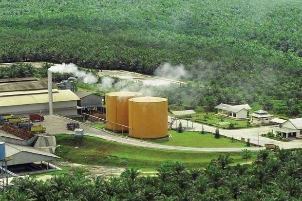 Ekspor sawit ke AS tetap stabil meski tarif baru berlaku