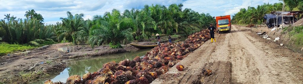 harga TBS sawit Riau Juli 2025