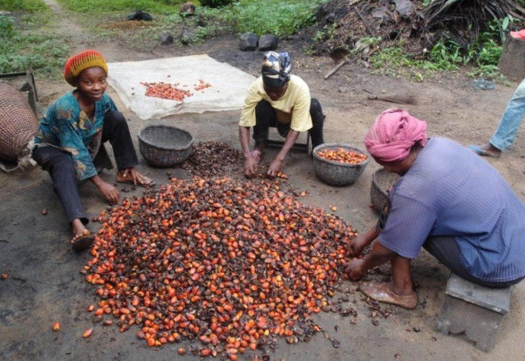 Pangsa pasar minyak sawit Afrika mencapai 70 persen konsumsi minyak nabati