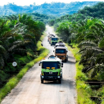 Wajib Tahu! Aturan Angkutan TBS Kaltim yang Bikin Petani Aman & Jalan Tetap Mulus