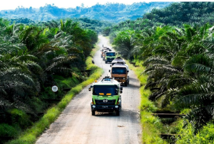 luas lahan perkebunan sawit Riau versi BPS 2023