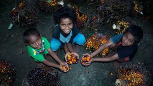 kawasan sawit ramah anak, perlindungan anak di perkebunan kelapa sawit