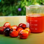 Minyak Makan Merah: Inovasi Sawit Bernutrisi Tinggi untuk Indonesia