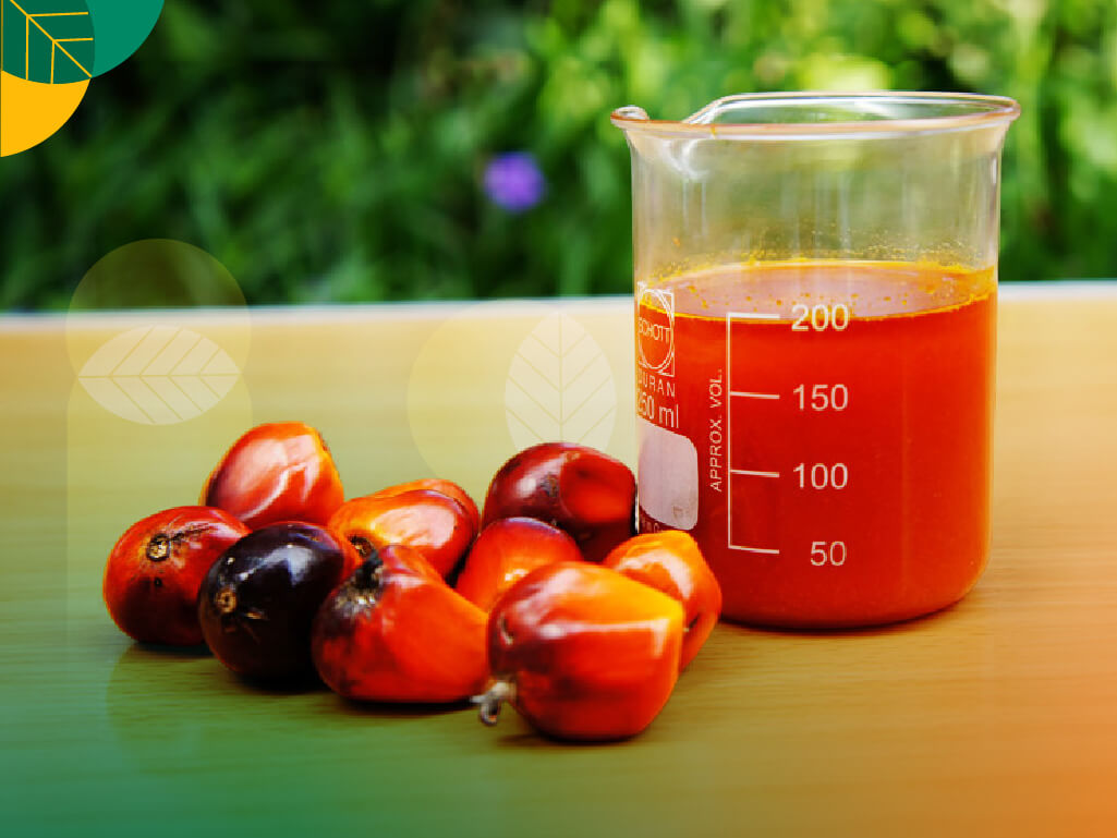 Minyak makan merah, inovasi sawit bernutrisi tinggi