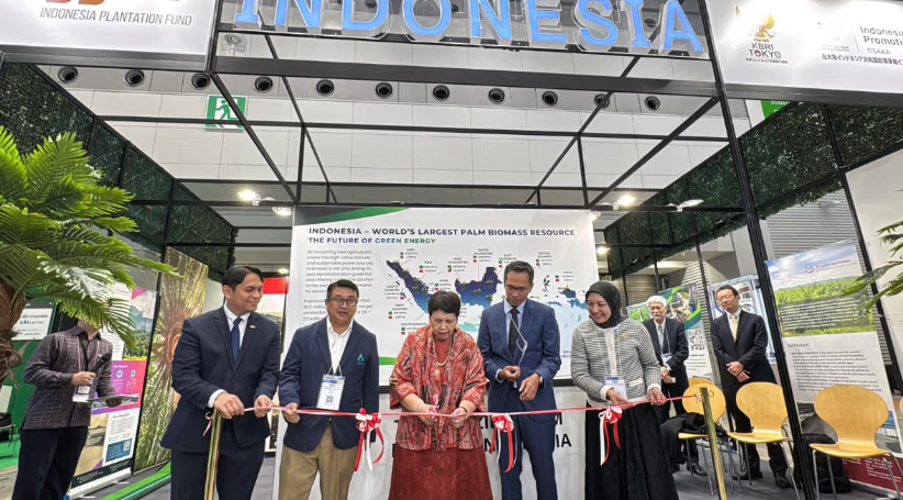 biomassa sawit Jepang dalam bentuk PKS dan pelet EFB untuk ekspor energi terbarukan Indonesia